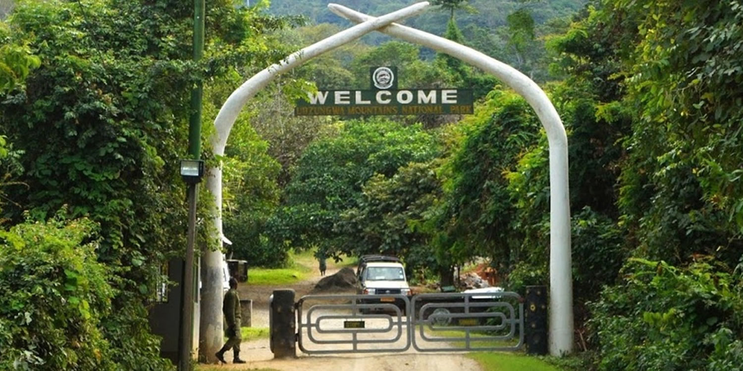 Udzungwa Mountains