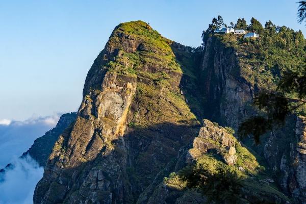 Usambara Mountains wildlife