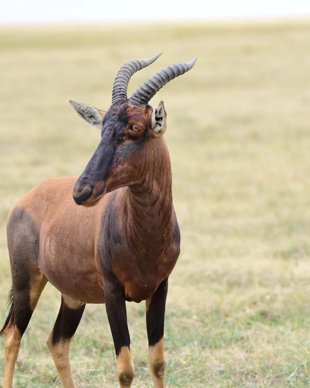 Budget Adventure Safari in Tanzania