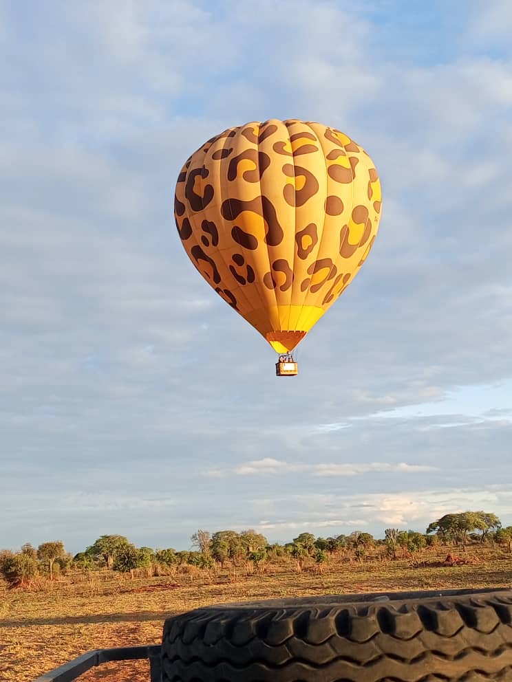 Hot air balloon