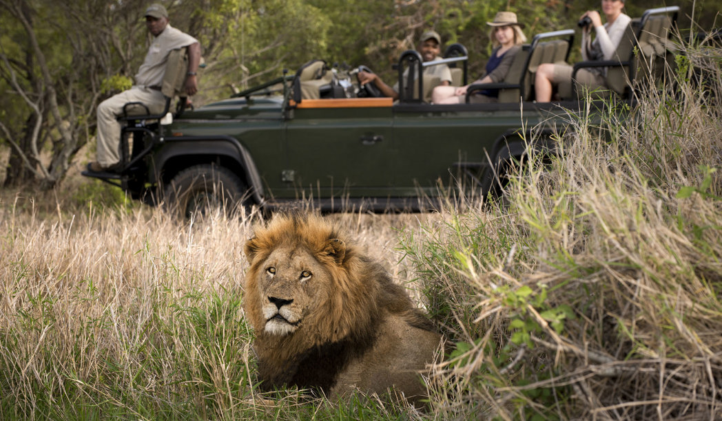 Private game drives