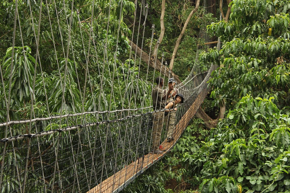 Lake Manyara treetop walk
