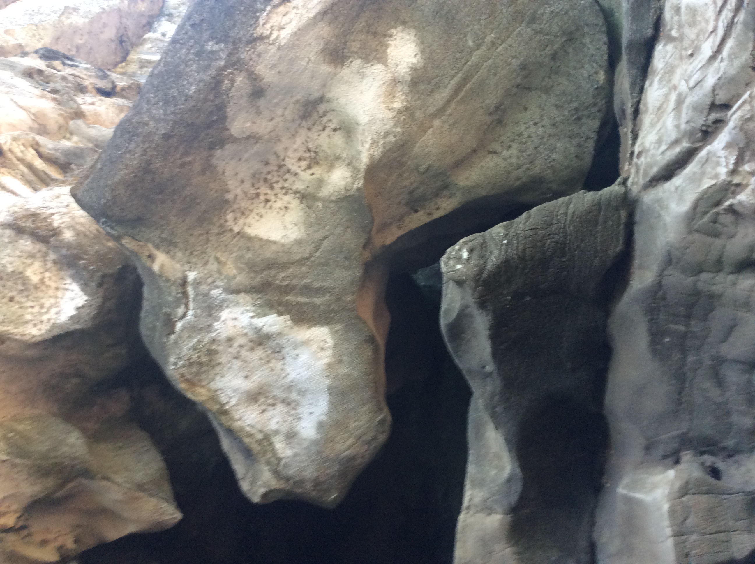 The caves at Amboni
