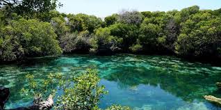 Chole Island