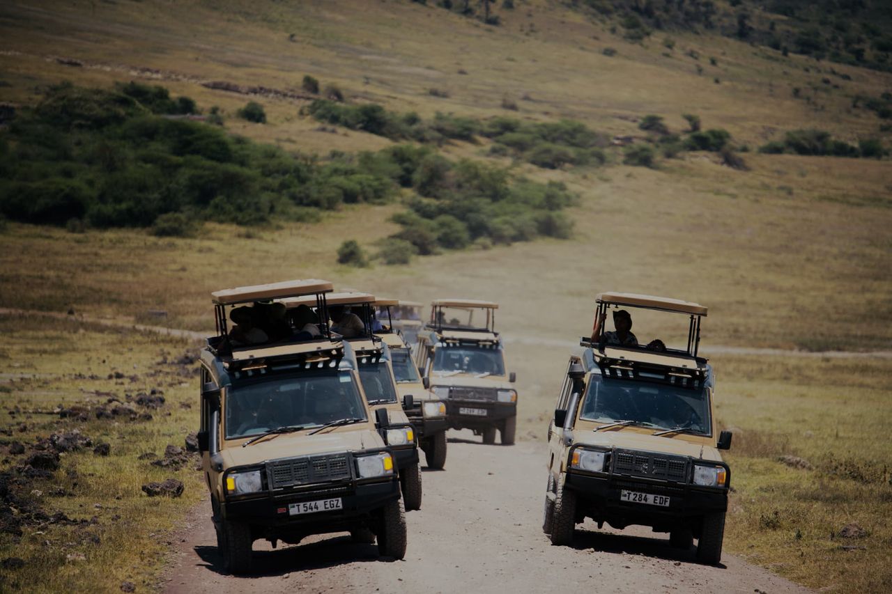Group Safari (6 Persons)