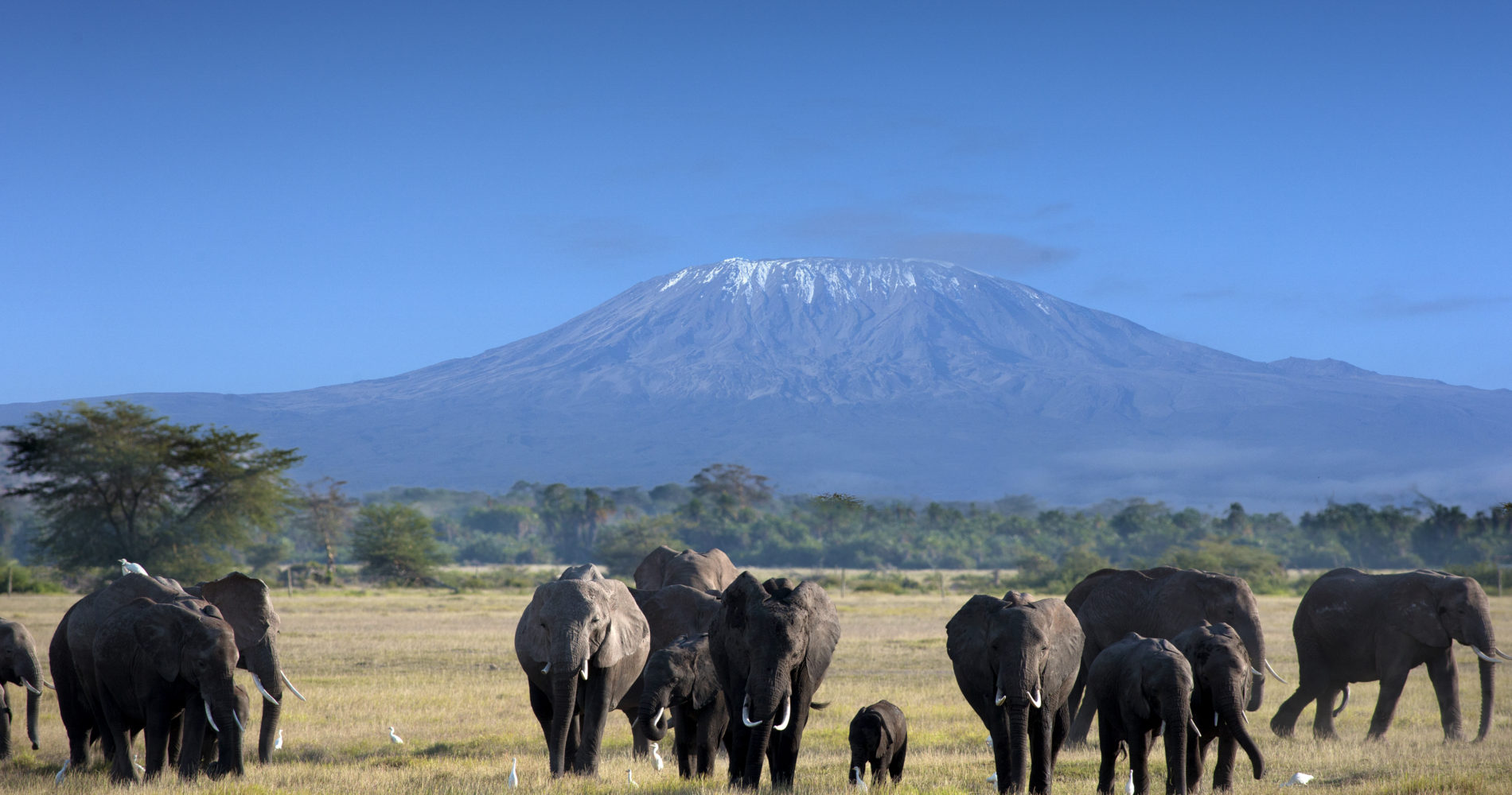 Sunset over Kilimanjaro