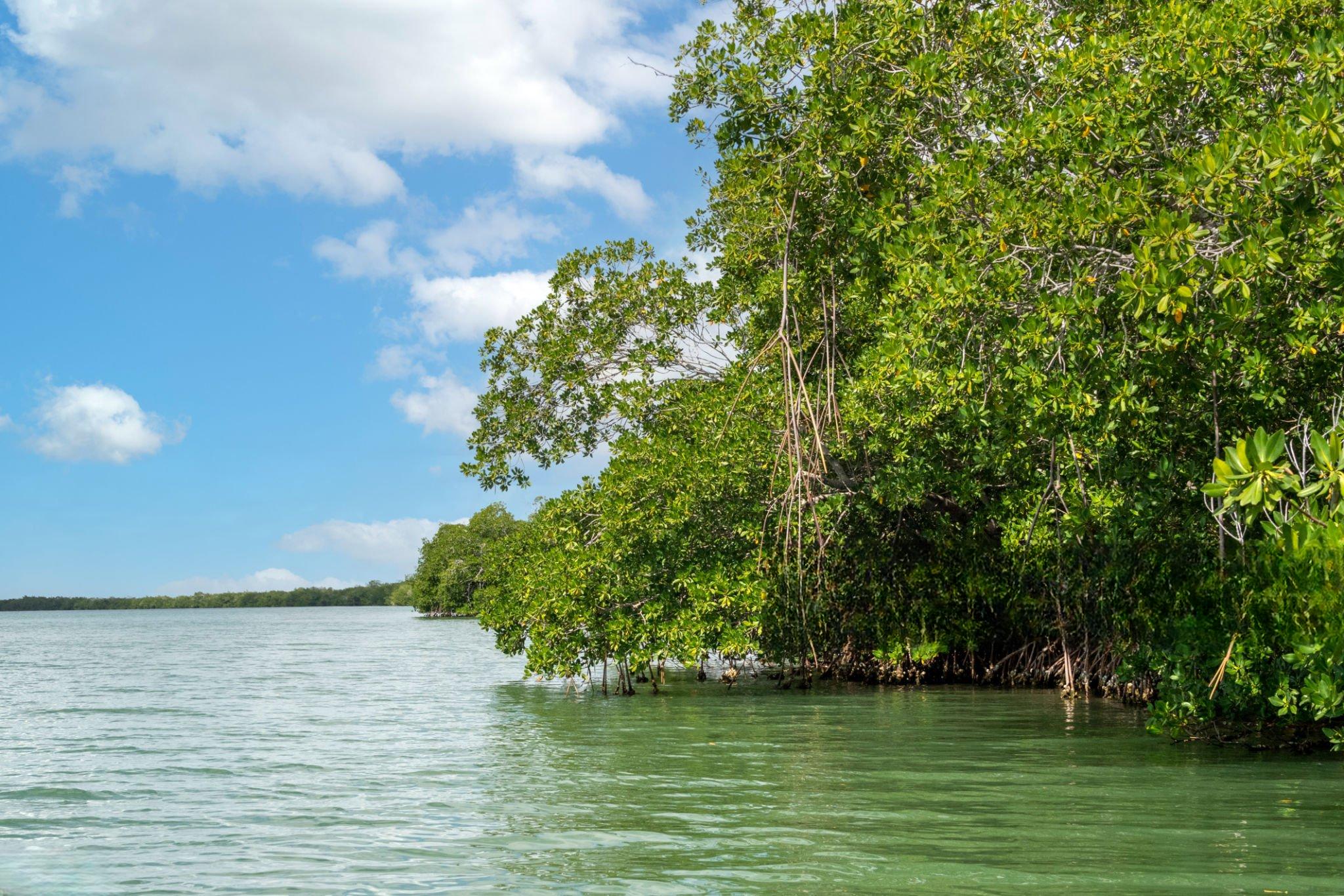 Mwewe Island