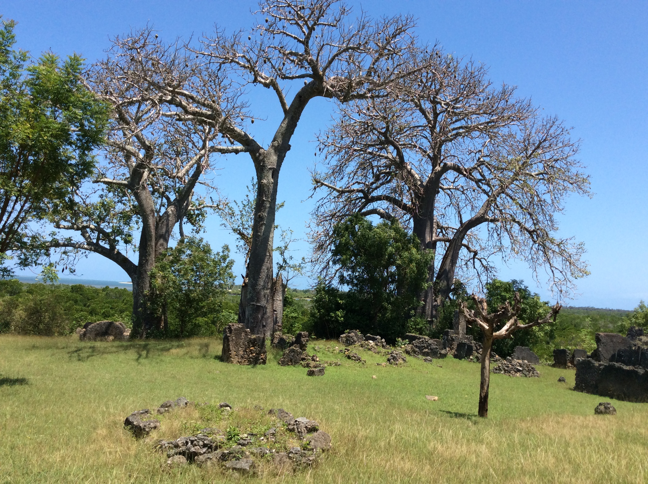 Tongoni Ruins cover page
