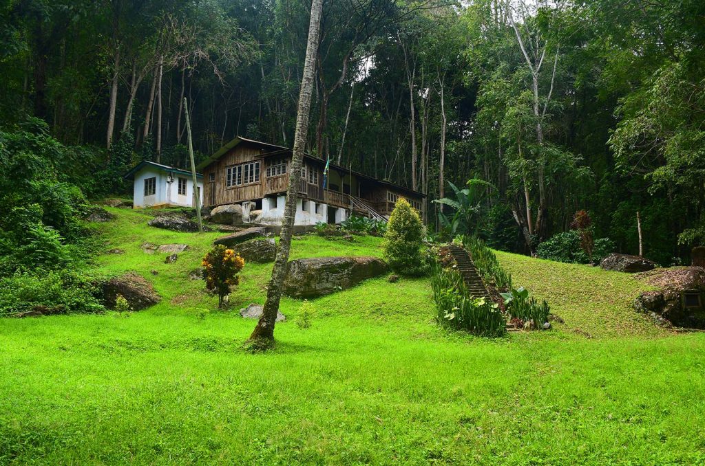 Usambara Mountains