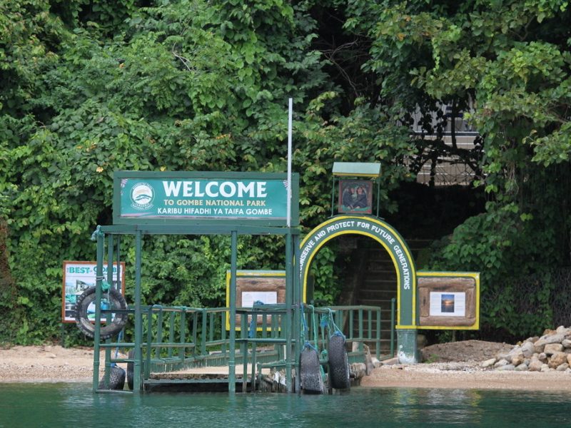 Gombe National Park