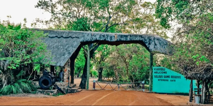 Nyerere National Park
