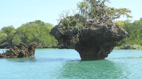 Yambe Island