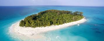 Mnemba Island
