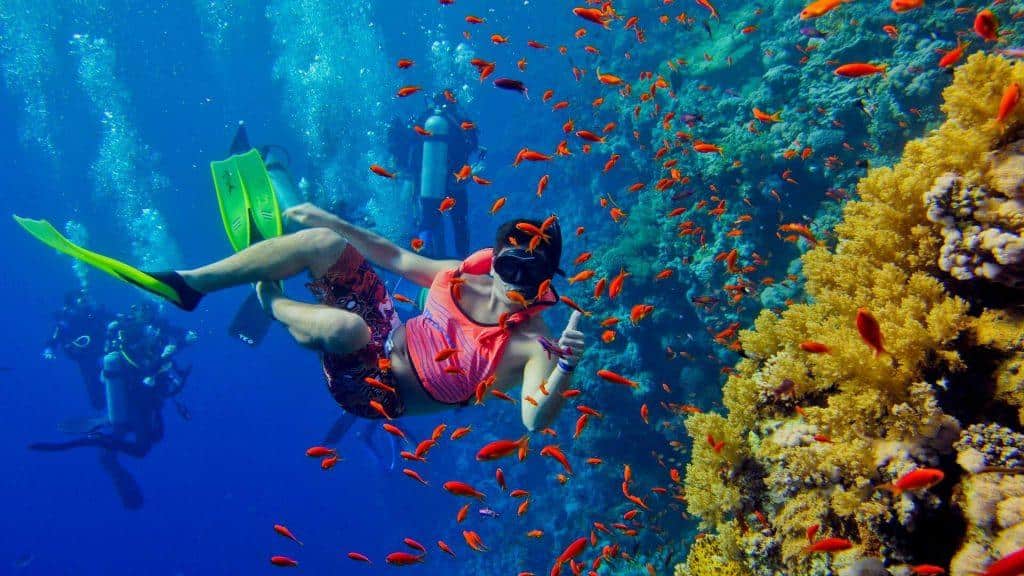 Snorkeling at Mnemba Atoll